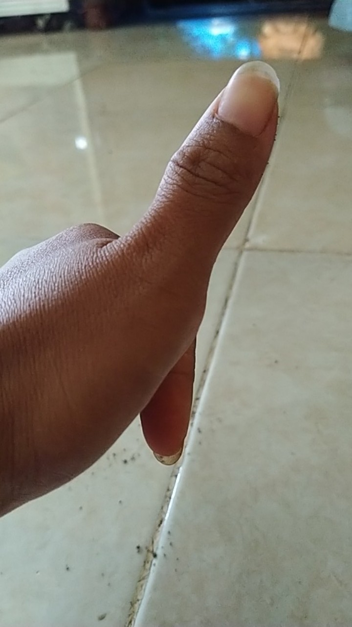 (grosir Cod) Gantungan Pot Bunga -gantungan Sangkar Burung Tempel Dinding - Pot Gantung Tanaman Hias