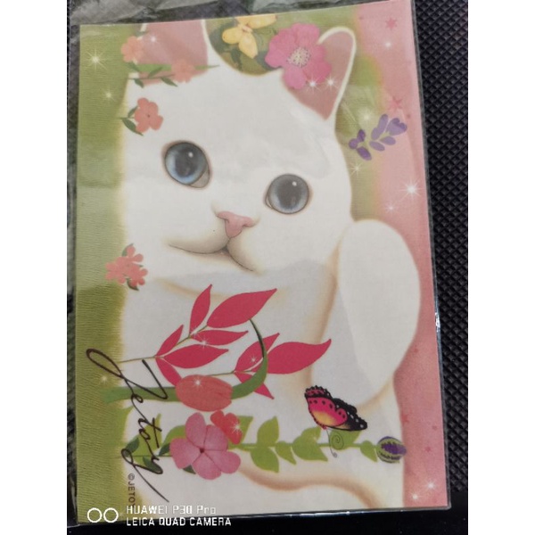 

kartu pos kucing jetoy/jetoy cat postcard