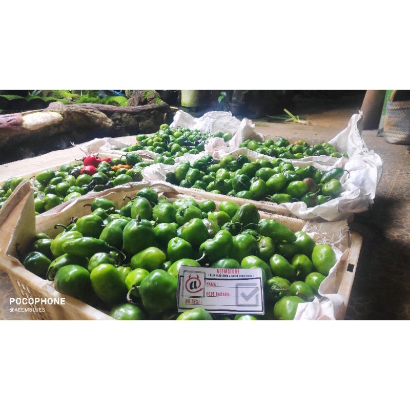 

MURAH harga GROSIR cabai gendot / cabe dieng per 5 kg atau by request *WAJIB CHAT