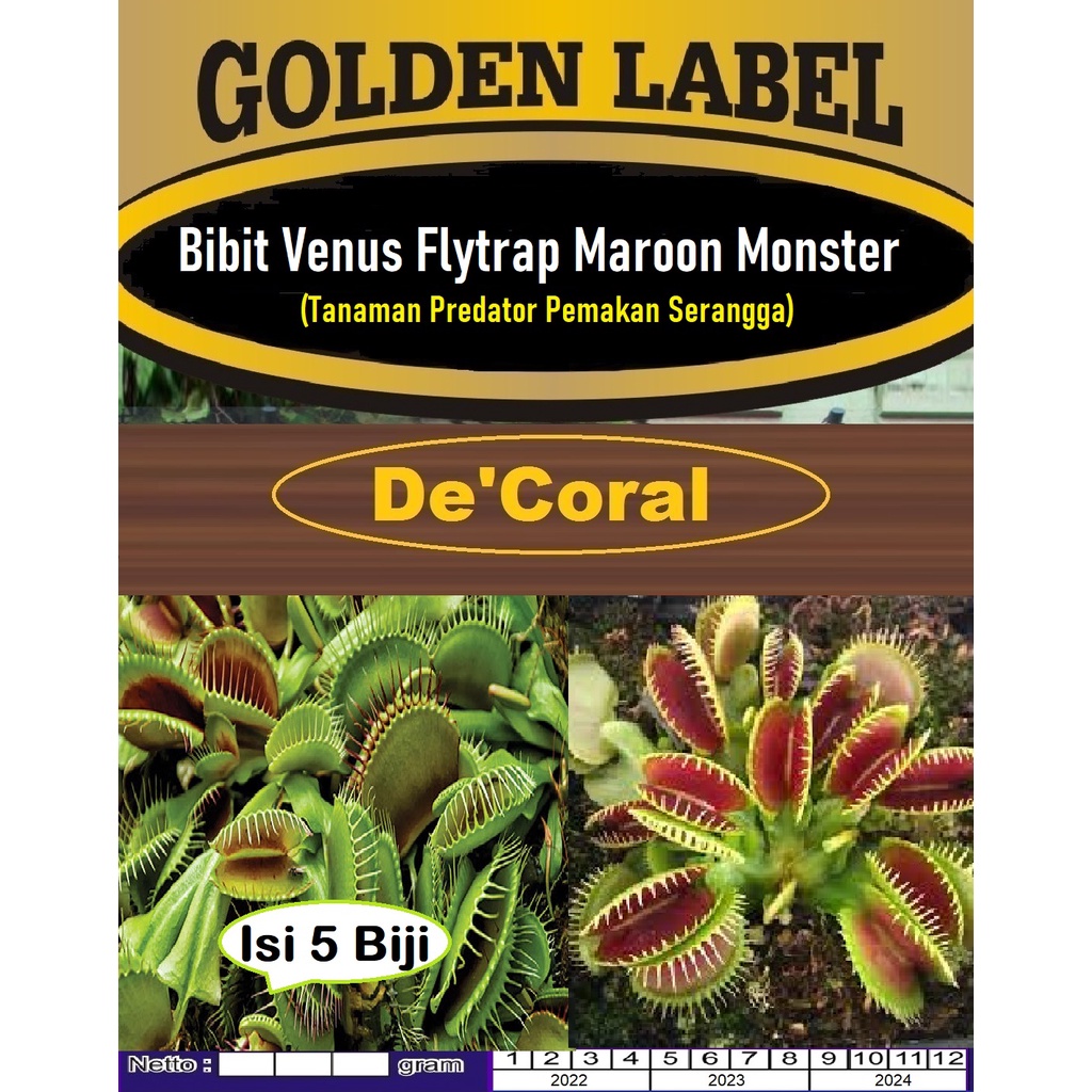 Bibit Tanaman Venus Flytrap Maroon  | Bibit Tanaman Pemakan Serangga |Benih Venus Flytrap