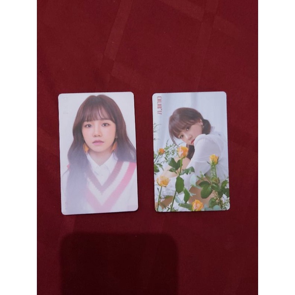 kihno coloriz yuri photocard