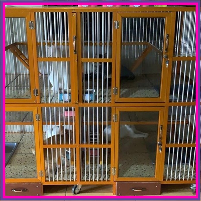 Kandang Kucing Aluminium//4pintu GOLD