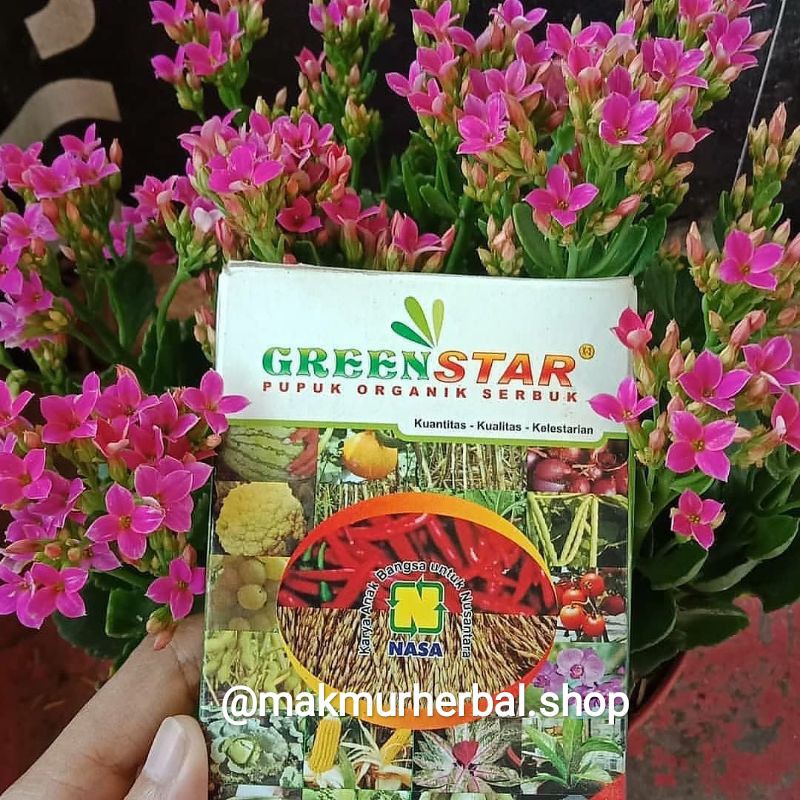 greenstar nasa, pupuk tumbuhan, pupuk greenstar, pupuk nasa
