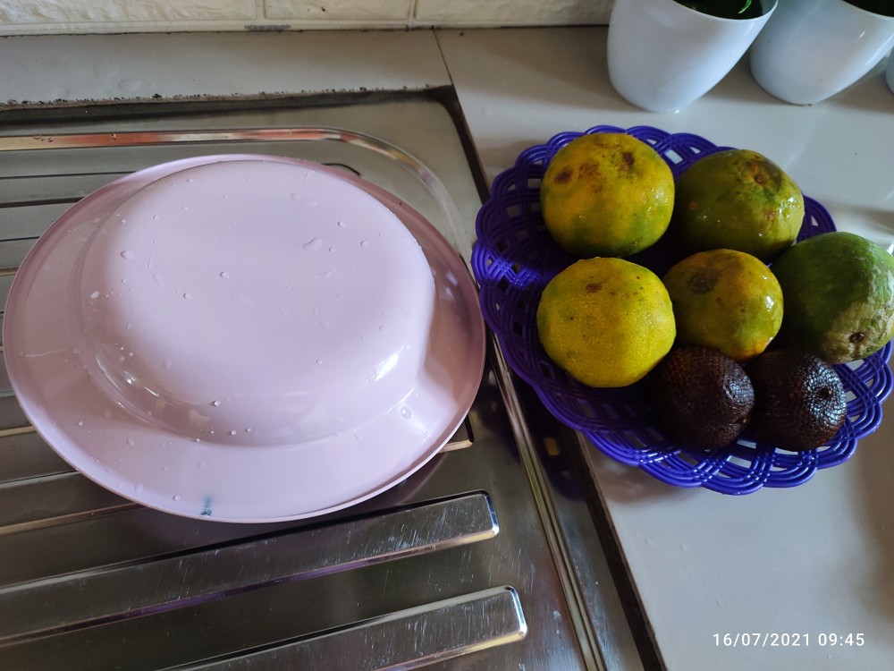 Piring Rotan Plastik / Piring Anyam 254 Cm (per Biji)