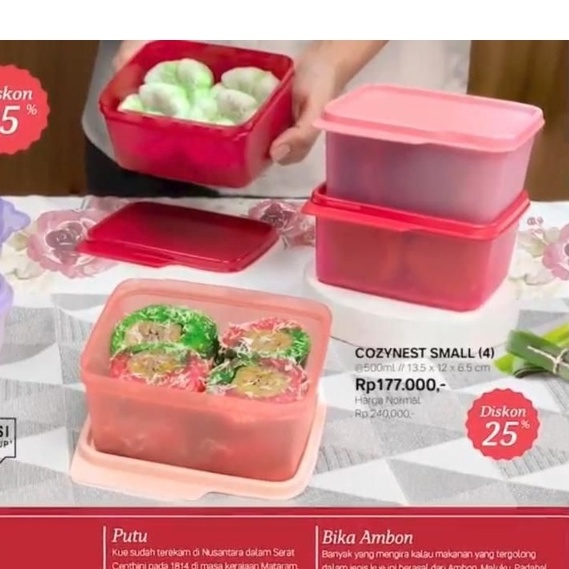 Tupperware CozyNest Small Ecer 1pcs 500ml