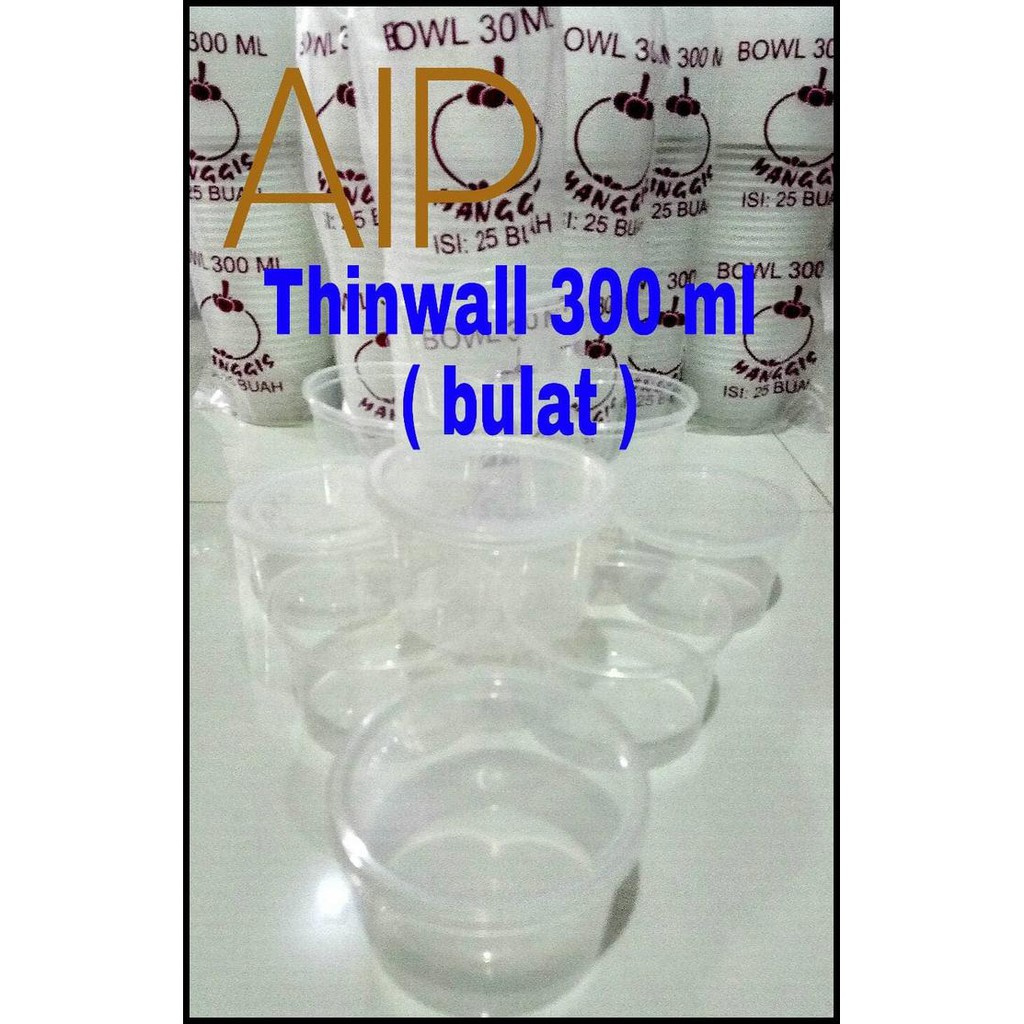 Thinwall 300 Ml Box Container Kotak Makan Plastik