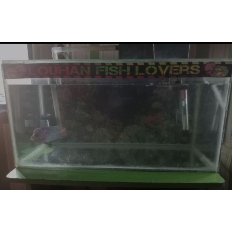 Stiker hiasan aquarium peacok bass pbass area predator fish louhan lovers oscar pecinta ikan predator awas ikan galak premium quality