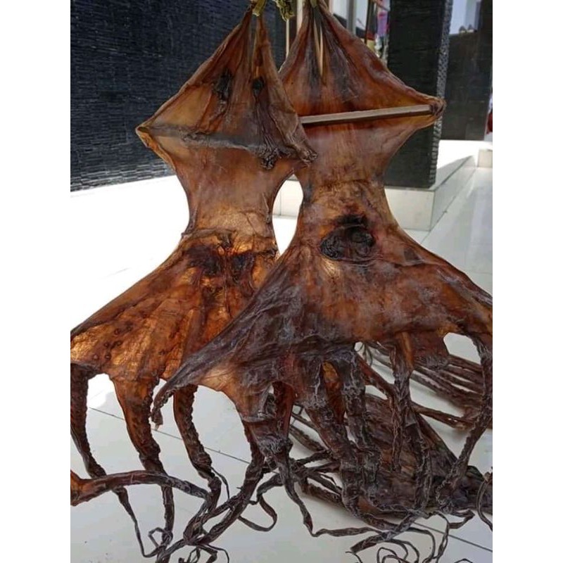 

gurita kering