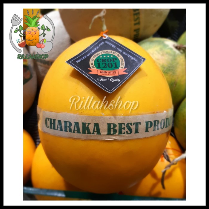 

Buah Melon Golden Cantalope Pcs