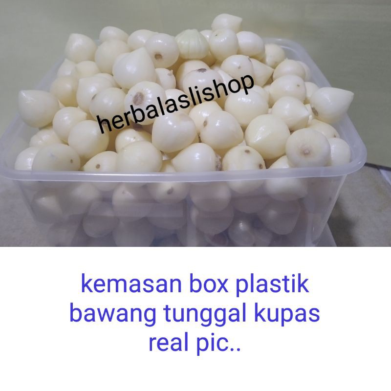 Bawang Putih Tunggal Bawang Lanang kupas 1kg Pilihan &amp; Bersih