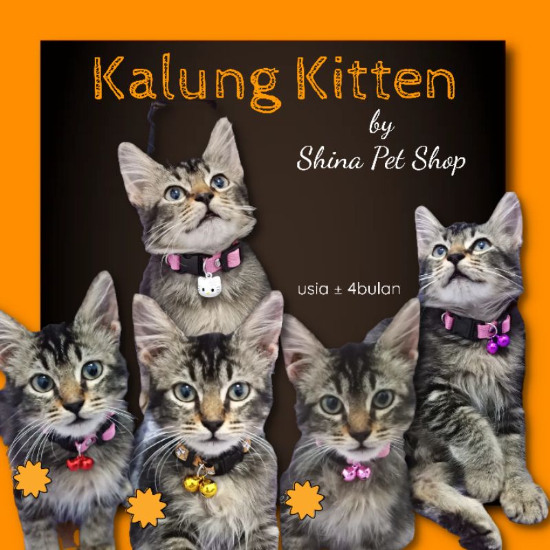 Kalung Kucing Lonceng Karakter (Kitten)