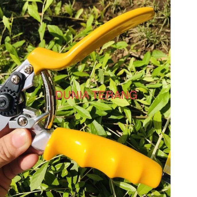 ❀ Gunting Dahan HASSTON PROHEX 1350 - Gunting Ranting Tanaman HASTON Super 1350 Gt Bunga Stek ✮