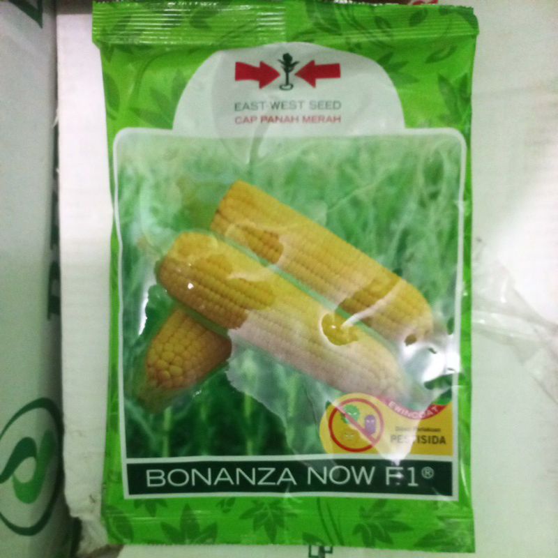 Benih Jagung Manis Bonanza Now f1 isi 1800 biji