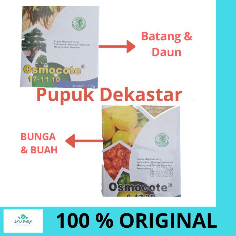 PUPUK TABUR DEKASTAR OSMOCOTE (PUPUK DAUN & BUAH TABUR)