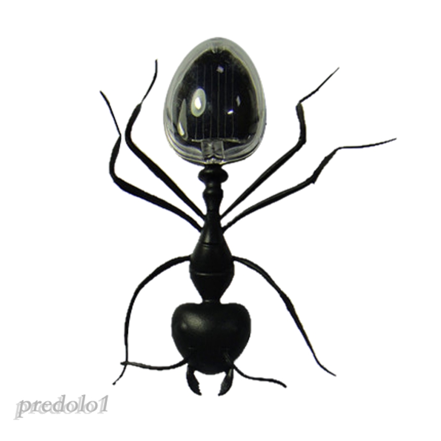 Mainan Model Hewan Serangga Tenaga Surya Untuk Anak Shopee Indonesia