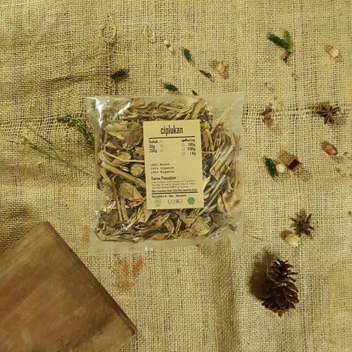 

CIPLUKAN CEPLUKAN KERING 250 GRAM - Physalis Angulata - MURNI -