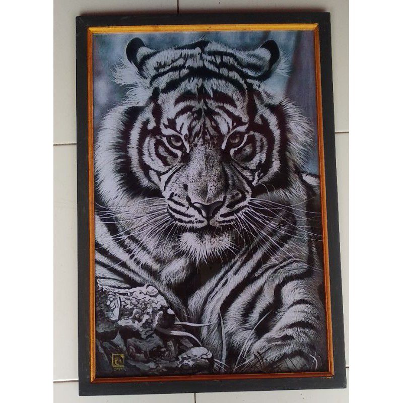 wall decor poster macan putih + bingkai 45×65cm