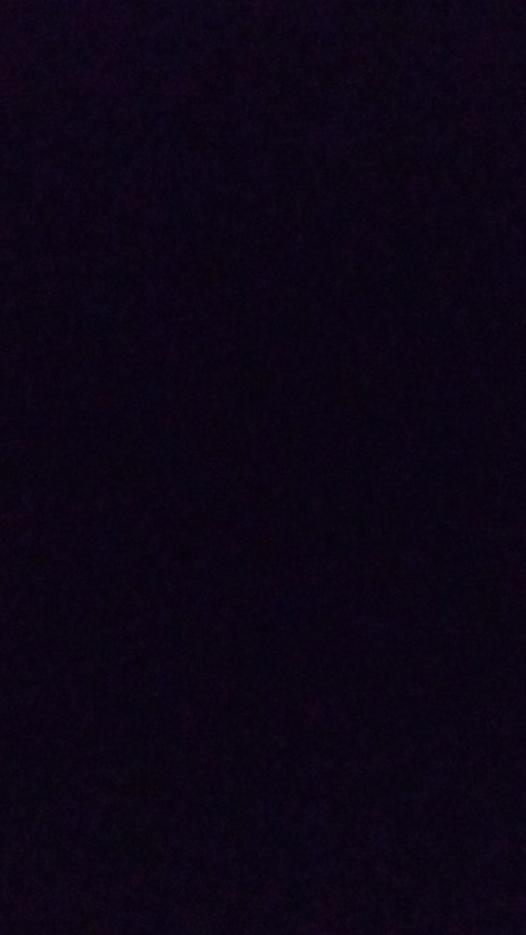 Botol Udang 300ml /  Botol Madu 300ml