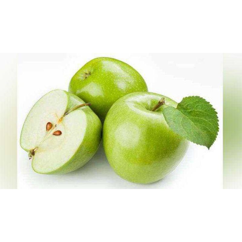 bibit apel manalagi benih pohon tanaman buah okulasi bisa untuk tabulampot taman-4