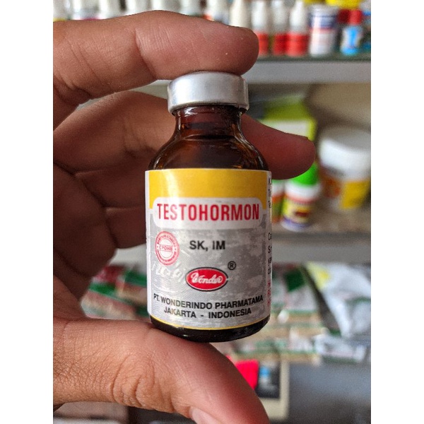TESTOHORMON - PENINGKAT BIRAHI HEWAN TERNAK JANTAN BETINA