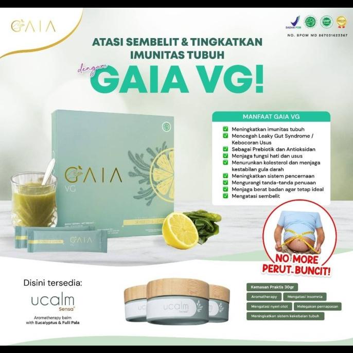 Plant based GAIA VG Minuman Detox Turunkan Berat Badan 1 Box