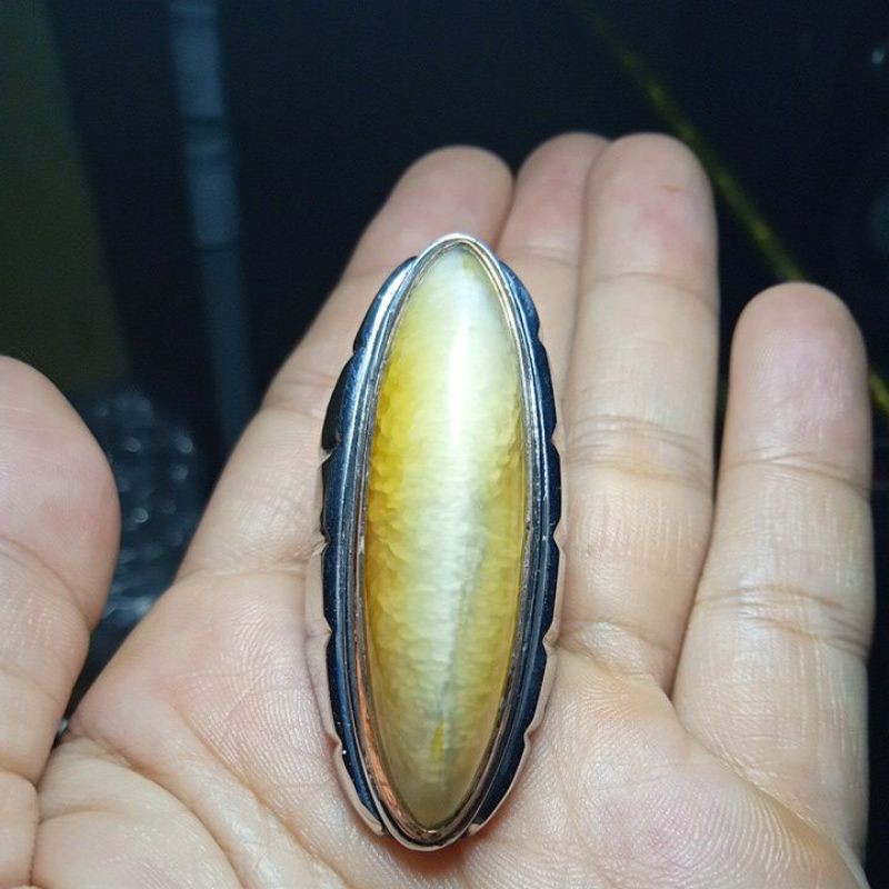 pandan nanas lumut rudal