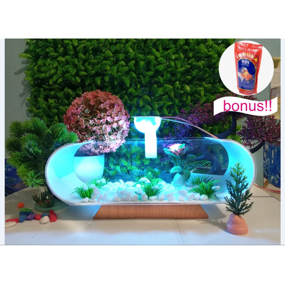 

AQUARIUM AKRILIK PVC 30cm IKAN HIAS IKAN CUPANG LAMPU LED