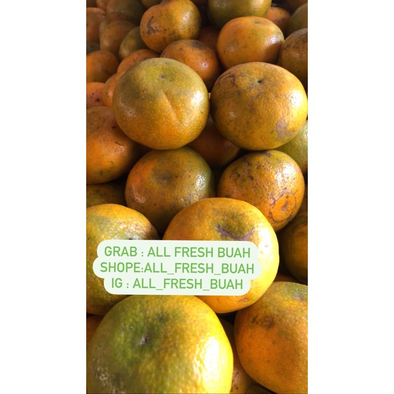 

Jeruk Medan Berastagi 30.000rb/kg