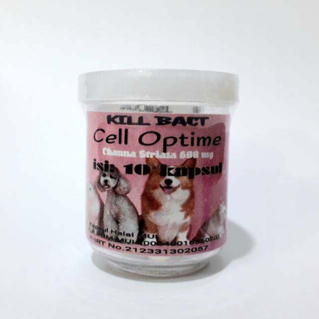 Kill Bact Protein Kapsul Cell Optime