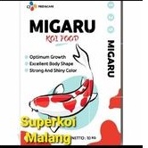 Migaru Koi 1KG 1 Kg Pelet Pakan Koi Warna Color Grow Growth