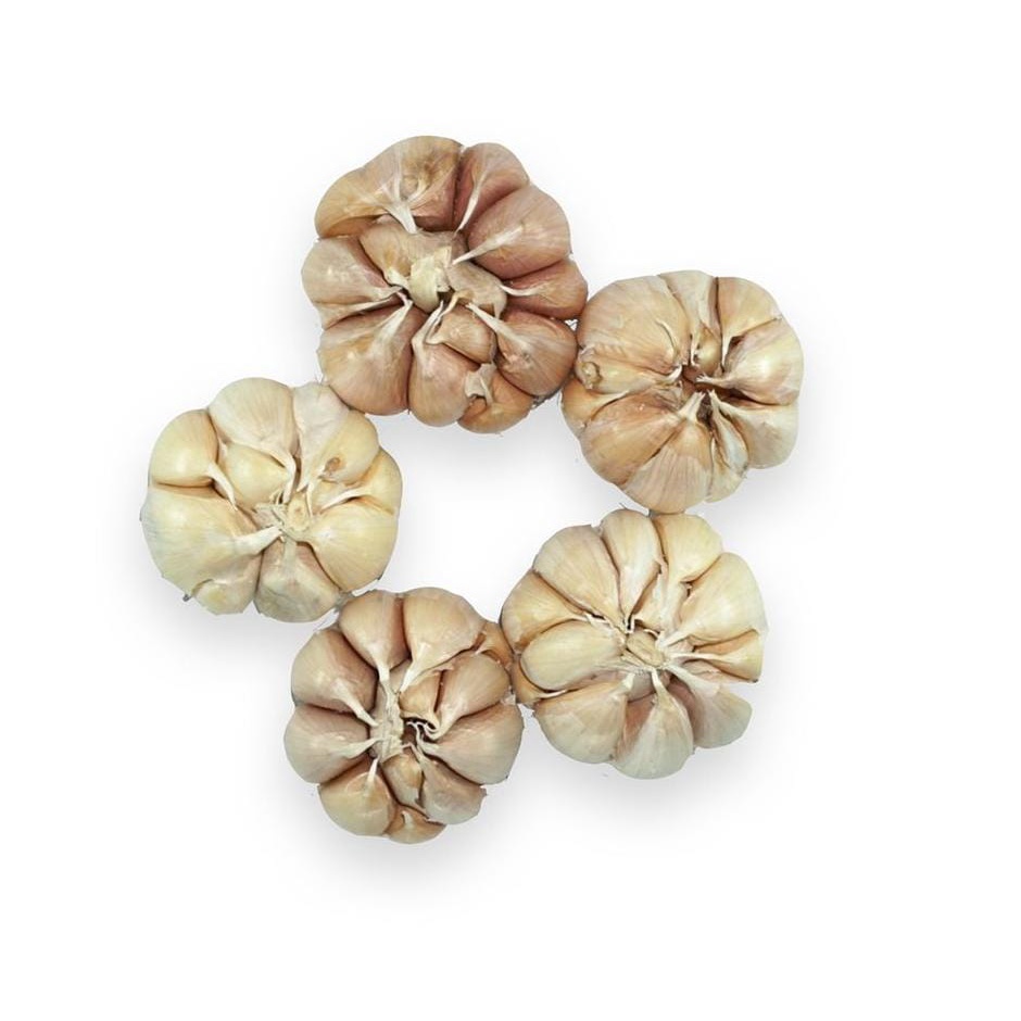 

Bawang Putih ORGANIK - 500gr