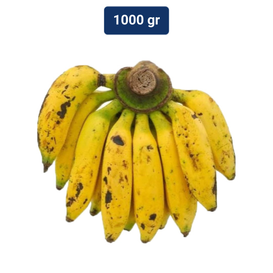 

Pisang Uli 1 Sisir
