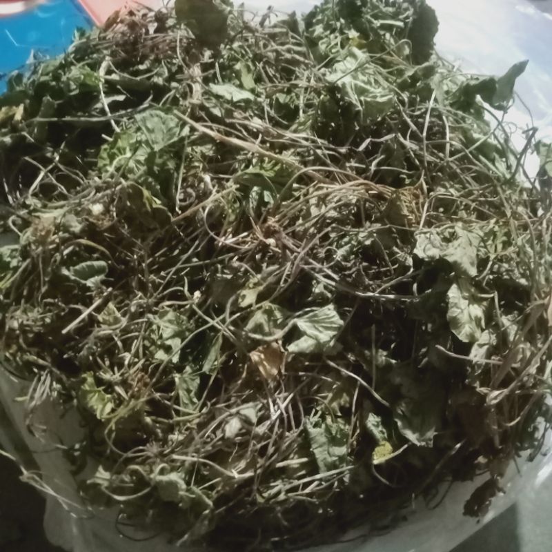 

Antanan/ pegagan kering akar sampai daun 150 g