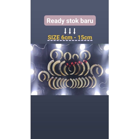 LIONTIN TARING BABI ORIGINAL SIZE 5 - 7