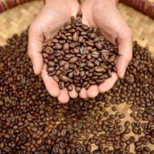

BIJI KOPI PROPERTI FOTO BIJI KOPI / FOTO PRODUK KOPI / BIJI KOPI