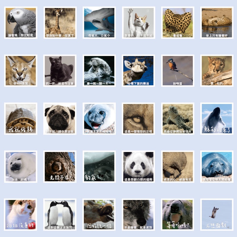 60 buah non-mengulangi dunia hewan stiker ekspresi wajah tas pasir ukiran lucu konotasi kotor lucu b