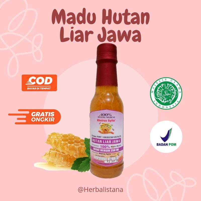 

Madu Nusantara Madu Hutan Jawa Madu Hutan Liar Jawa Madu Hutan JawaTERBARU!!!Madu Hutan JawaHerbal Istana