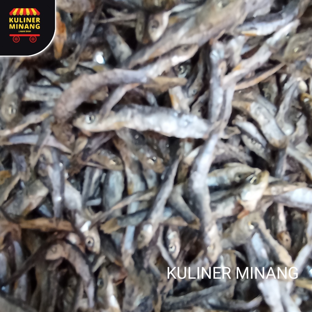 

Ikan asin bada karang Oleh-Oleh Asli Cemilan Kampung Makanan Khas Payakumbuh Padang 1ons Jajanan Snack Kuliner Minang Kabau AX00