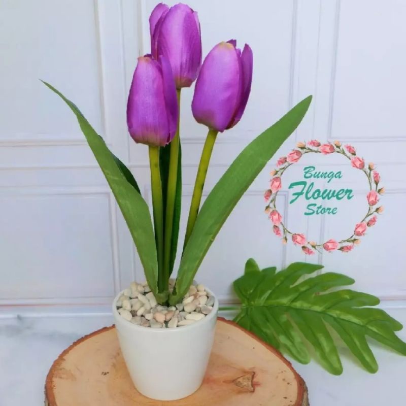 [ PROMO TERMURAH ] Bunga Tulip Termasuk Pot Melamin Bulat - Dekorasi Ruang Tamu - Bunga Plastik Impo