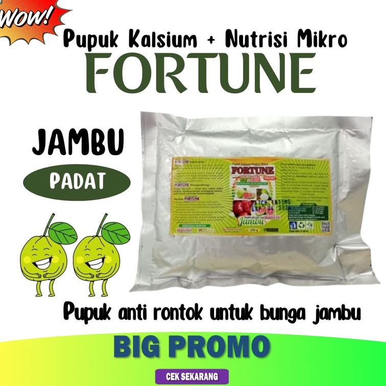 Pupuk Buah Jambu Baru Tanam Booster Jambu Pupuk Buah Jambu