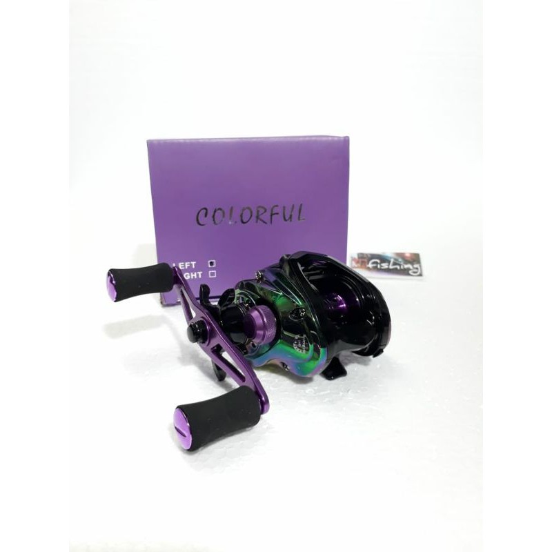 REEL BC COLORFUL LIZARD