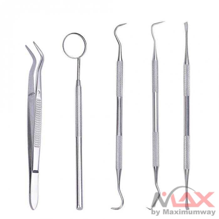 Peralatan Oral Perawatan Dokter Gigi Dental Care 5 in 1 - 7CKQ01 Warna Silver