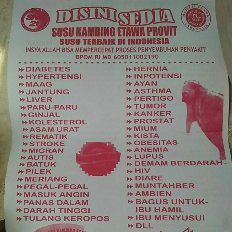 

susu kambing etawa provit
