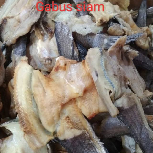 

Gabus siam / ikan asin gabus