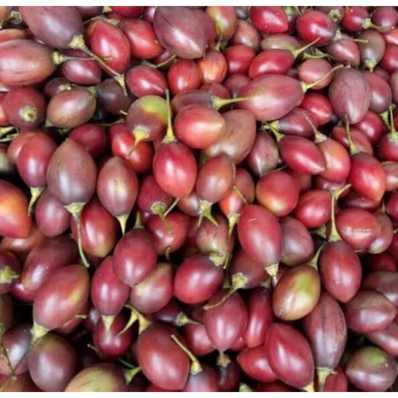 

terong belanda terong kori bandung 1 kg
