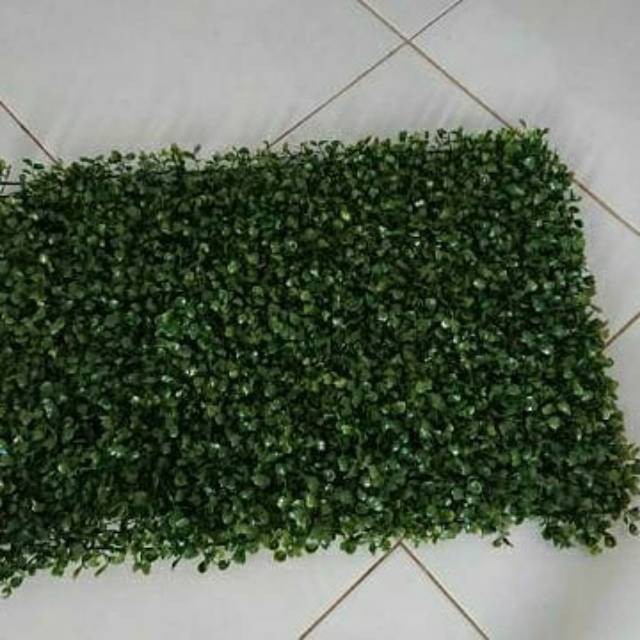 Tanaman hias dolar sintetis 40x60cm - dolar sintetis artificial