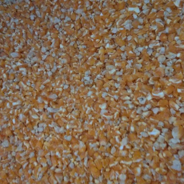 JAGUNG GILING MAKANAN AYAM 1Kg