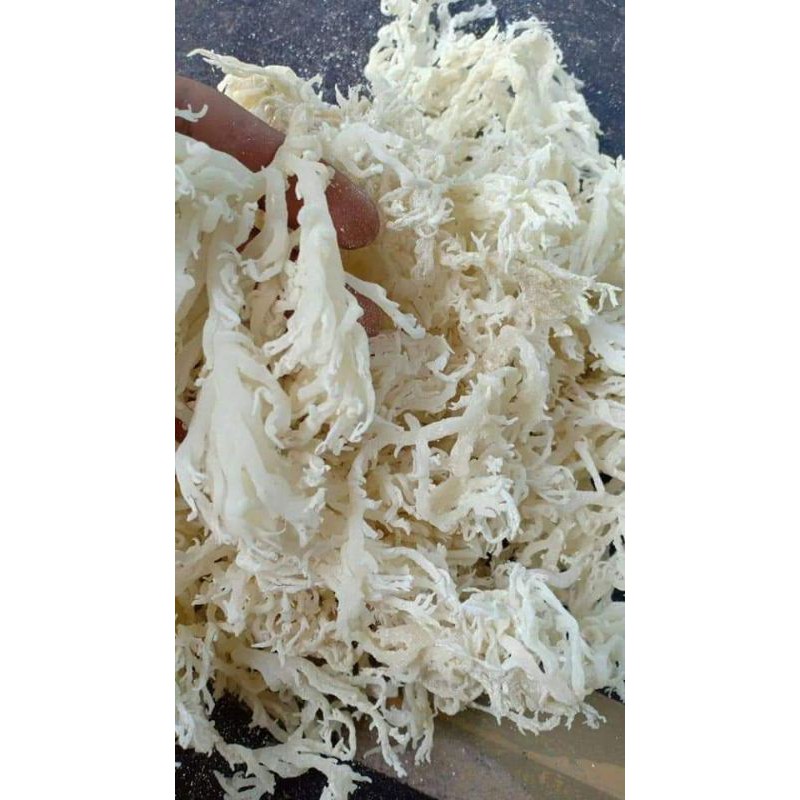 

RUMPUT LAUT KERING 500 GR