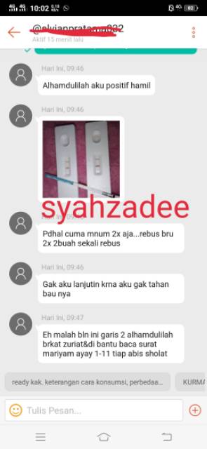 1 kg Buah Zuriat Madinah Belah Original Asli Madinah Belah Untuk Promil dan Kesuburan Suami Istri