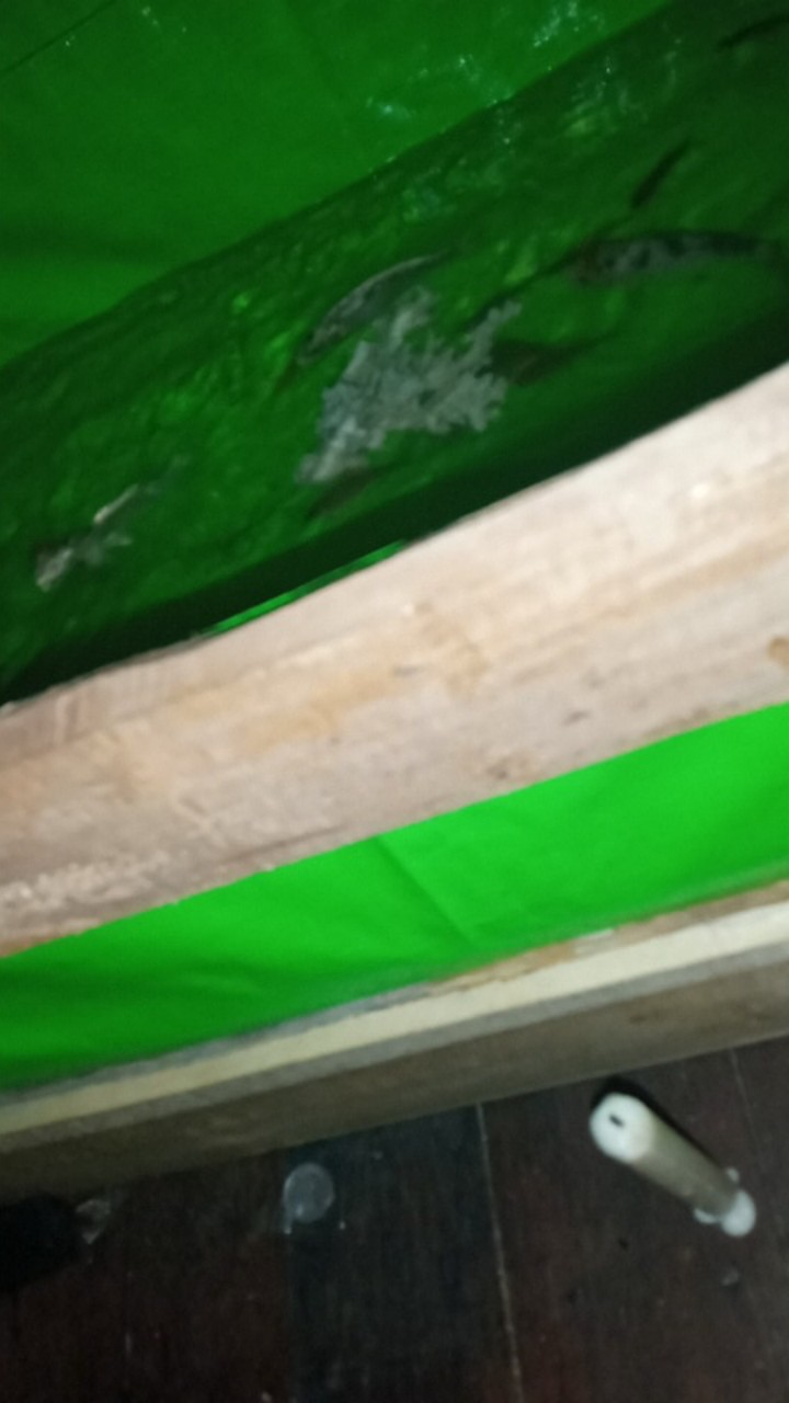 Terpal Kolam Ikan Kotak Ukuran (100×50×25) 100% Original Type A5 Korea